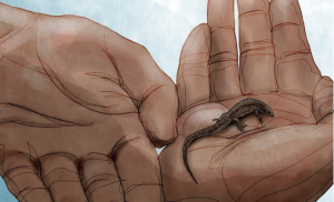Lizard with two hands.
